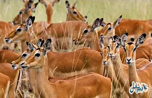 b1780174-4c15-4dd4-b70a-b97a9a5736ff