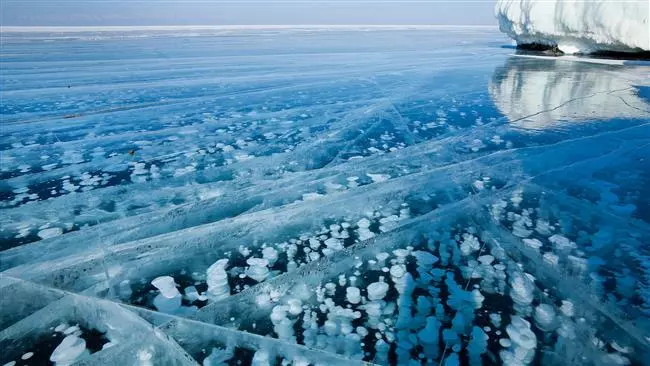 f81c085b-fd97-436f-979c-f289c60e3324